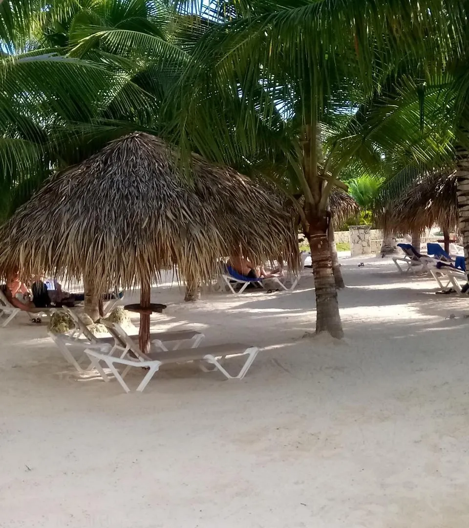 Apartamentos Y Habitaciones Sol Dominicus Solo Adultos La Laguna Dominikai Köztársaság