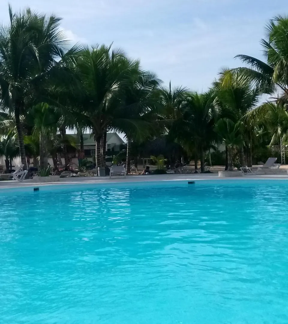 Apartamentos Y Habitaciones Sol Dominicus Solo Adultos La Laguna